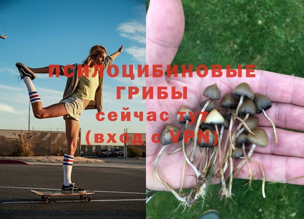 круглые Богородск