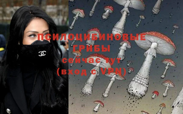 мет Богородицк