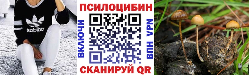 гидра вход  как найти наркотики  Красноярск  Галлюциногенные грибы ЛСД 